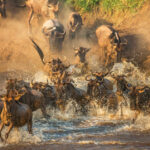 Serengeti National Park