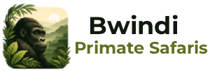 Bwindi Primate Safaris