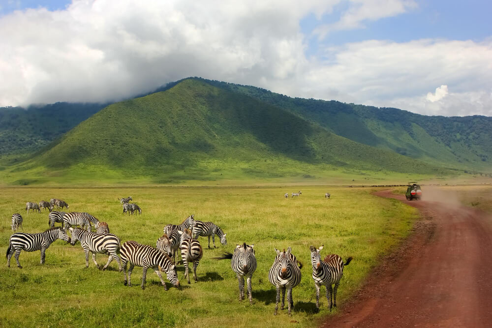 7-Day Northern Tanzania