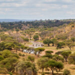 5-Day Classic Tanzania