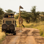 7-Day The Big Five Tanzania Safari