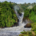 4-Day Murchison Falls