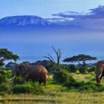 3-Day Amboseli Fly-in Safari