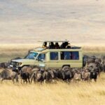 6-Day Best of Tanzania Safari