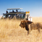 4 Days 3 Nights Serengeti National Park Safari Tour
