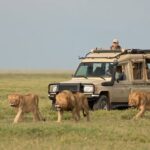7-Day Comfort Kenya Safari with Sopa Lodges