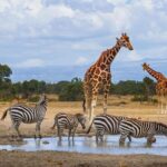 12 Days Kenya Adventure Safari