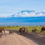 Ol Donyo Sabuk National Park