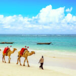 Kenya Wildlife + Beach – 10 Days